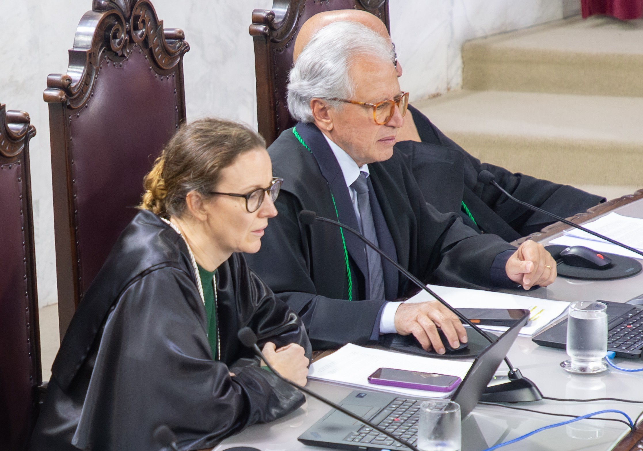 A conselheira-substituta Muryel Hey relata processo em sessão do Pleno do TCE-PR