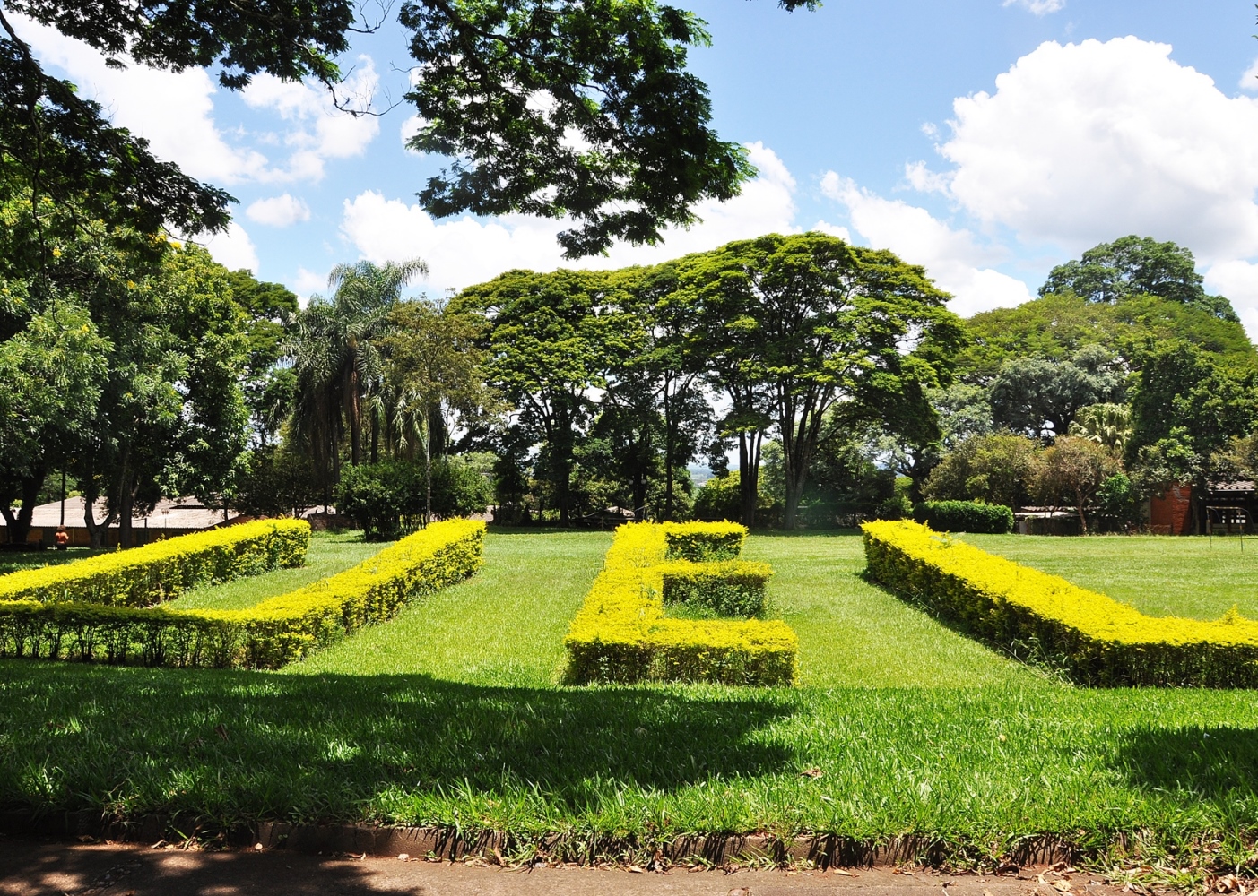 Campus da Universidade Estadual de Londrina (UEL). Foto: Agência UEL de Notícias/Divulgação